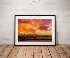 To buy a print or any of the below please click on the images